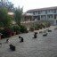 Кошки на Кипре, монастырь